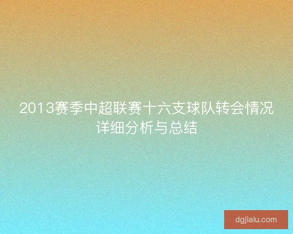 2013赛季中超联赛十六支球队转会情况详细分析与总结