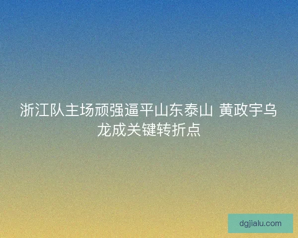 浙江队主场顽强逼平山东泰山 黄政宇乌龙成关键转折点